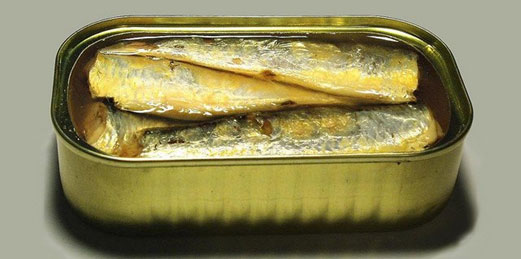 sardina